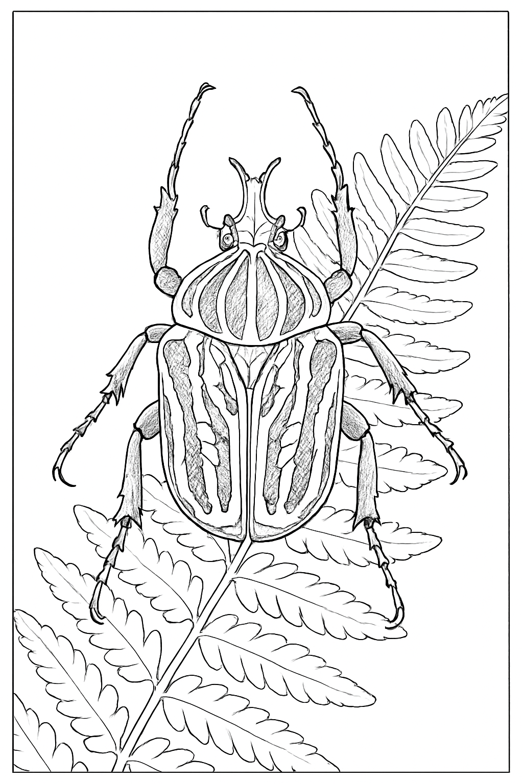 A detailed goliath beetle coloring page featuring a large insect perched on a fern leaf.