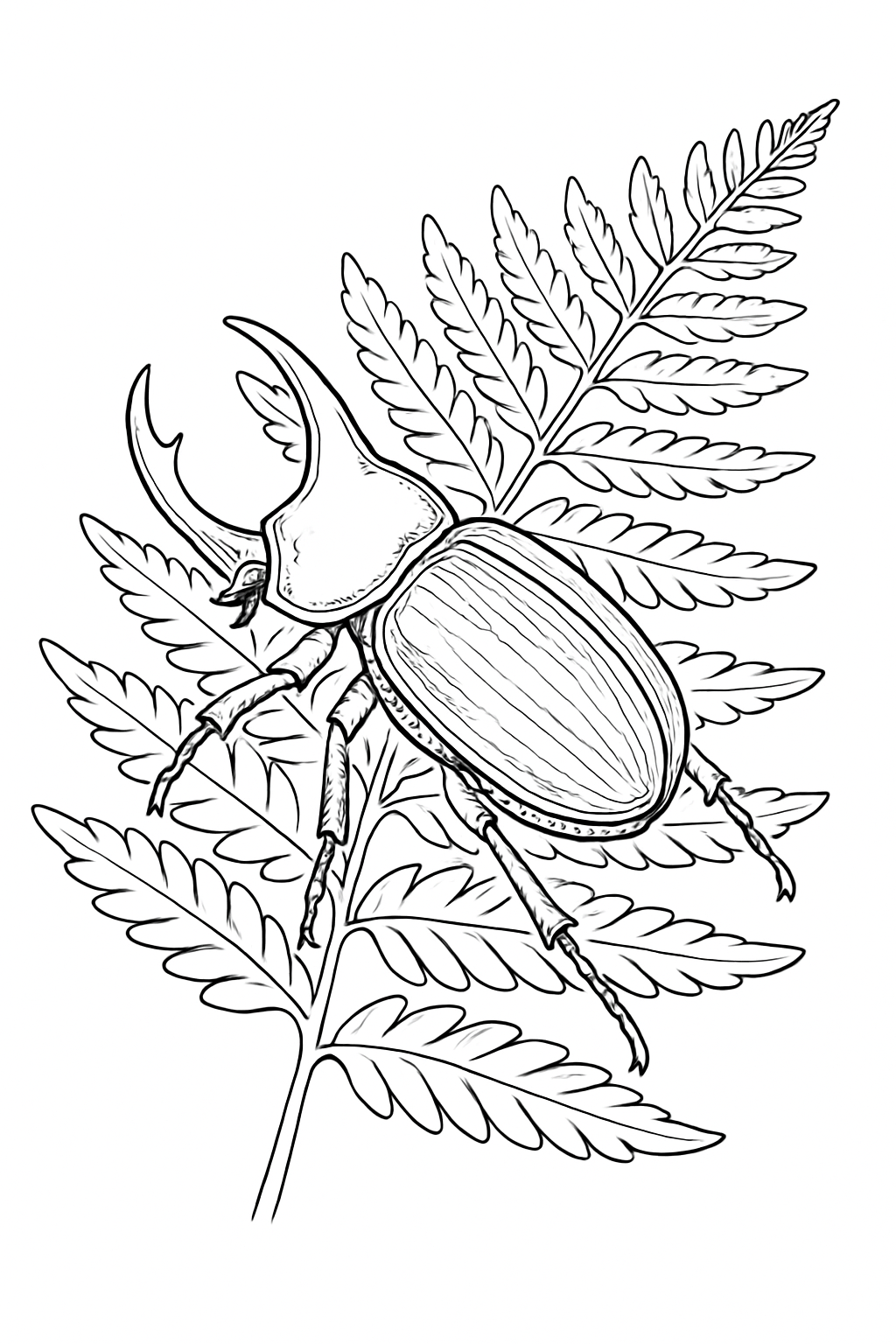 A detailed rhinoceros beetle coloring page featuring botanical fern elements and clean line art.