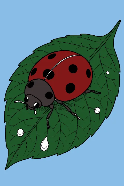 Colored by Anonymous — Ladybug on a Leaf Coloring Page